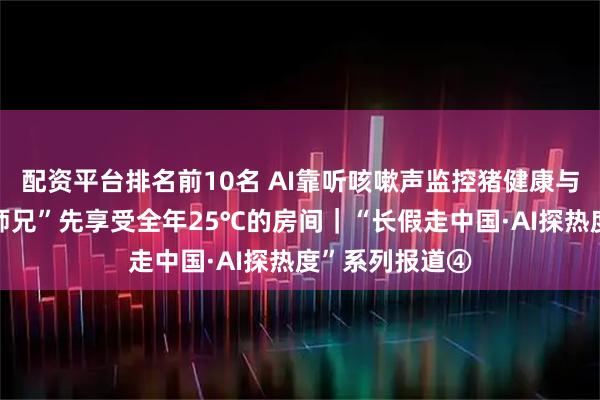 配资平台排名前10名 AI靠听咳嗽声监控猪健康与否，还让“二师兄”先享受全年25℃的房间｜“长假走中国·AI探热度”系列报道④